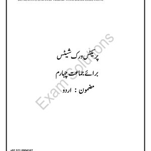 Urdu Worksheet for K4