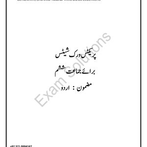 Urdu Worksheet for K6